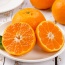 Quýt hồng (quýt tiều) tươi ngon, sản phẩm VietGAP